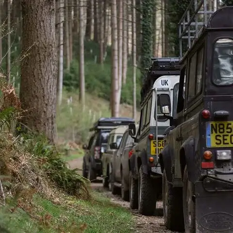 Land Rovers on a guided green lane in a Devon forest