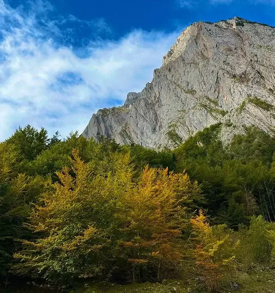 Rock face above a green lane